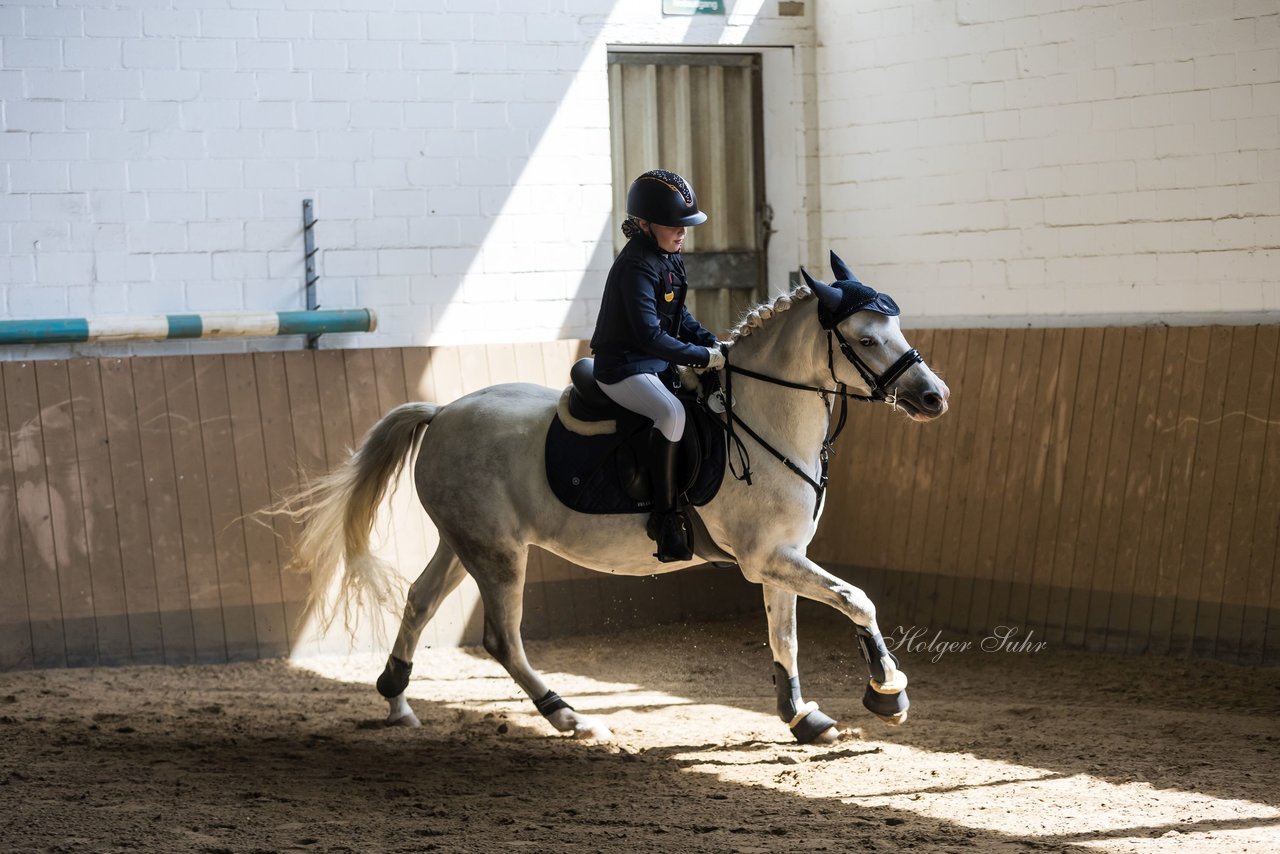 Bild 30 - Pony Akademie Turnier